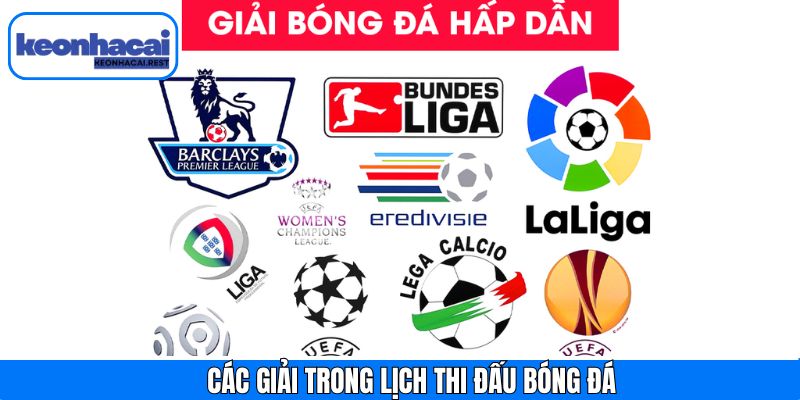Các giải nổi bật được cập nhật lịch thi đấu bóng đá