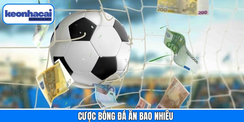 Cược Bóng Đá Ăn Bao Nhiêu - Đặt Kèo Với Cách Tính Tiền Dễ Hiểu
